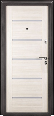 МЕТАЛЛИЧЕСКАЯ ДВЕРЬ ЛАРГО (860L)