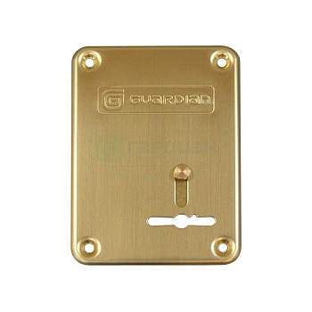 Гардиан накладка для сув/м ГЛС левая (латунь)