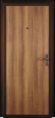 МЕТАЛЛИЧЕСКАЯ ДВЕРЬ РОНДО IS (Неизвестная характеристика)